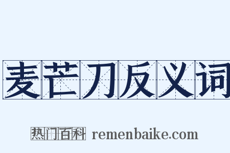 麦芒刀反义词是什么意思的图片